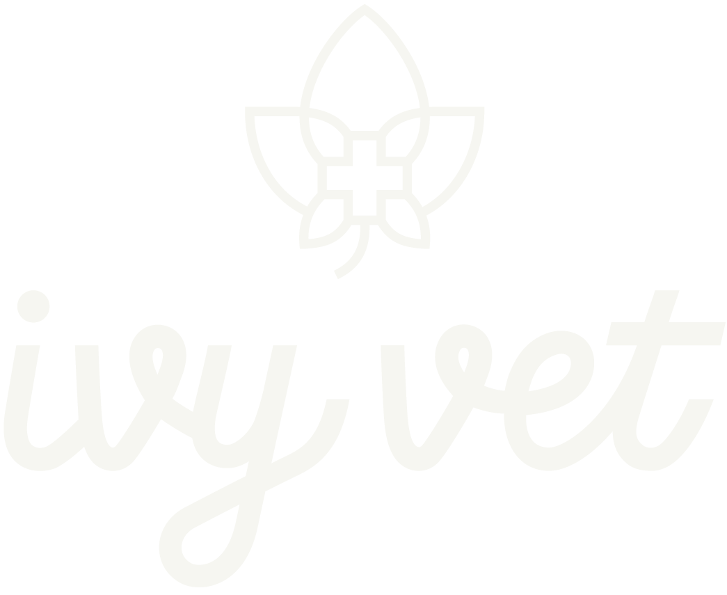 logo of Ivy Veterinary Services with cursive writing that reads 'ivy vet'