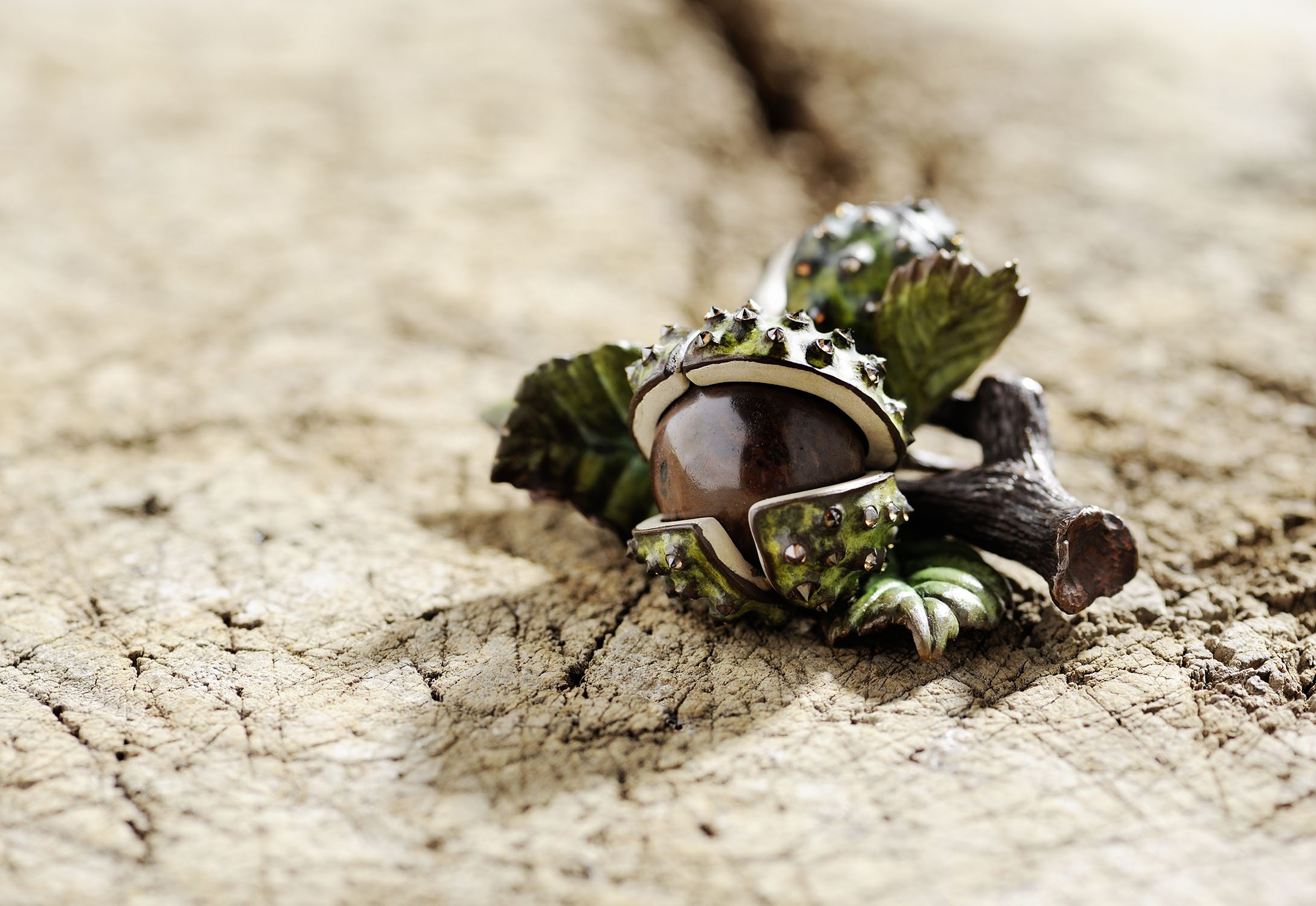 Chestnut brooch put on a piece of wood