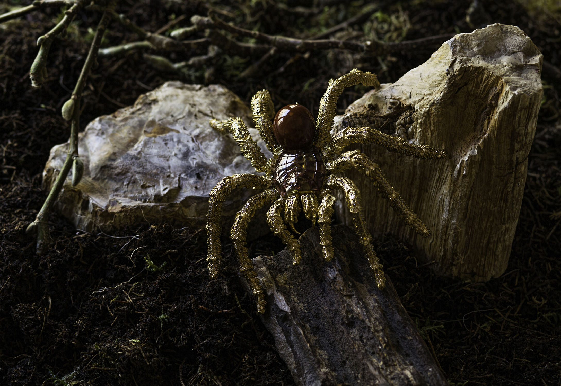 Big Hemmerle spider brooch with conch pearl